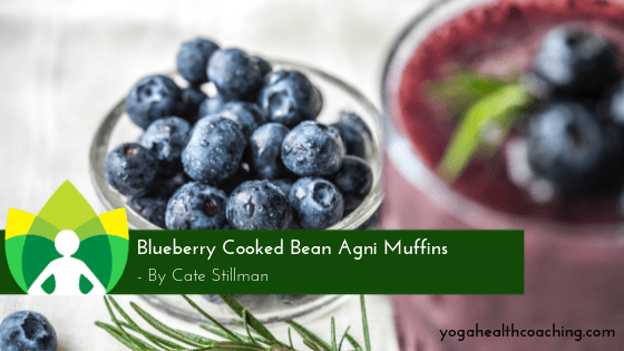 Blueberry Cooked Bean Agni Muffins