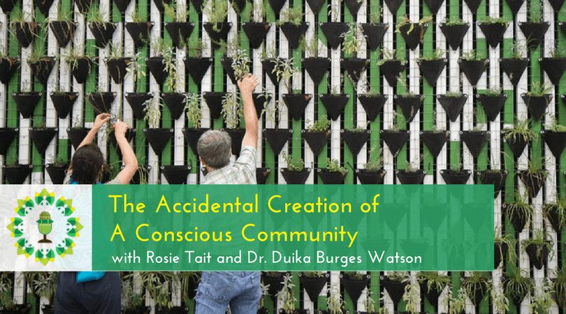 Guerrilla Gardener Goes Legit - The Accidental Creation of A Conscious Community