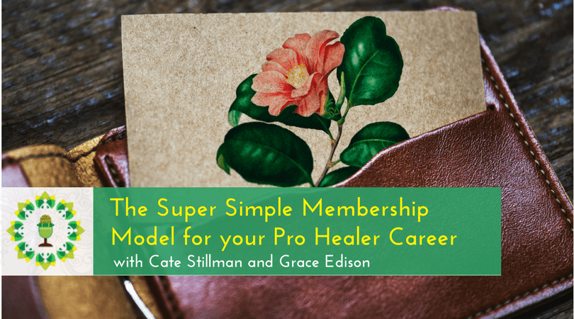 The Super Simple Membership Model for your Pro Healer Career